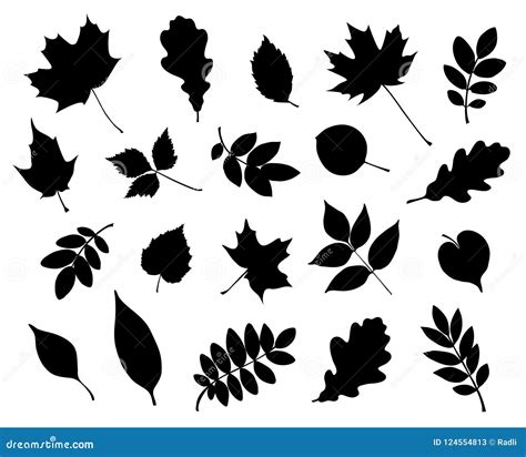 autumn leaf silhouette|autumn leaves shapes.